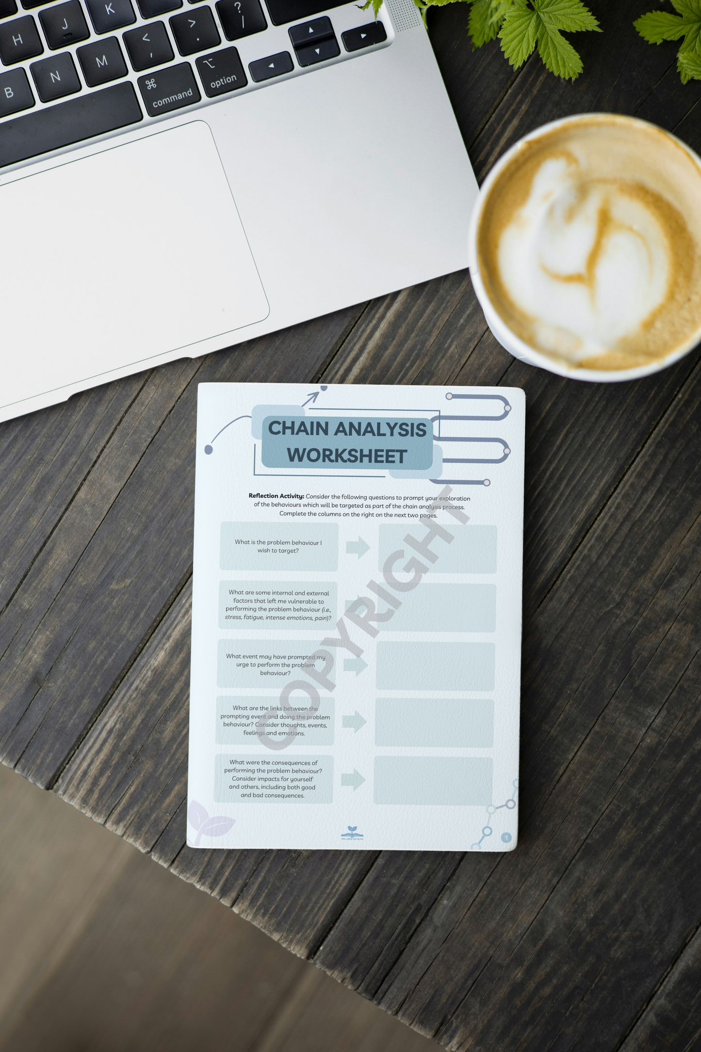 Chain Analysis 4-page Activity Pack